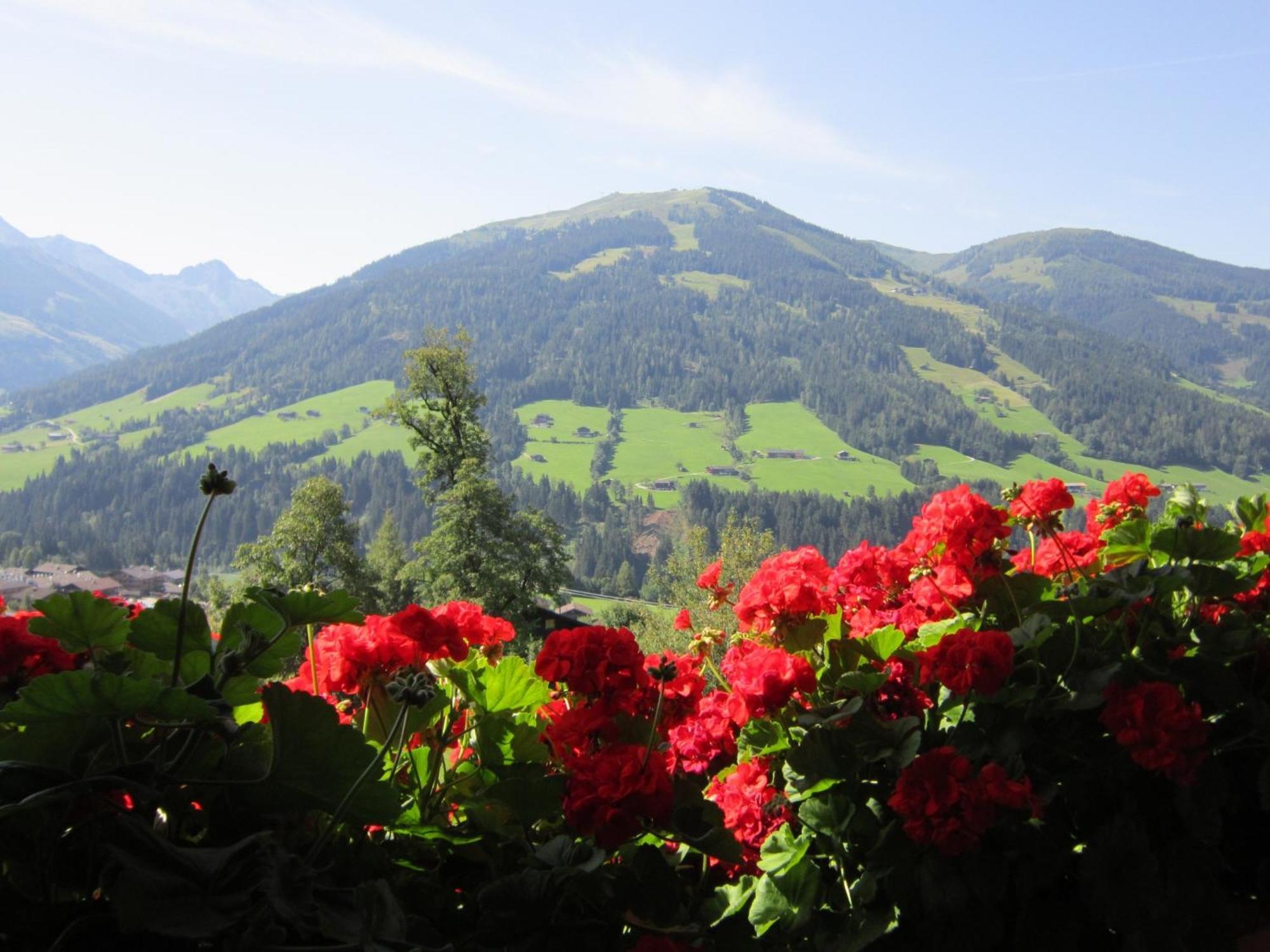 Appartamento Alpbachblick Esterno foto