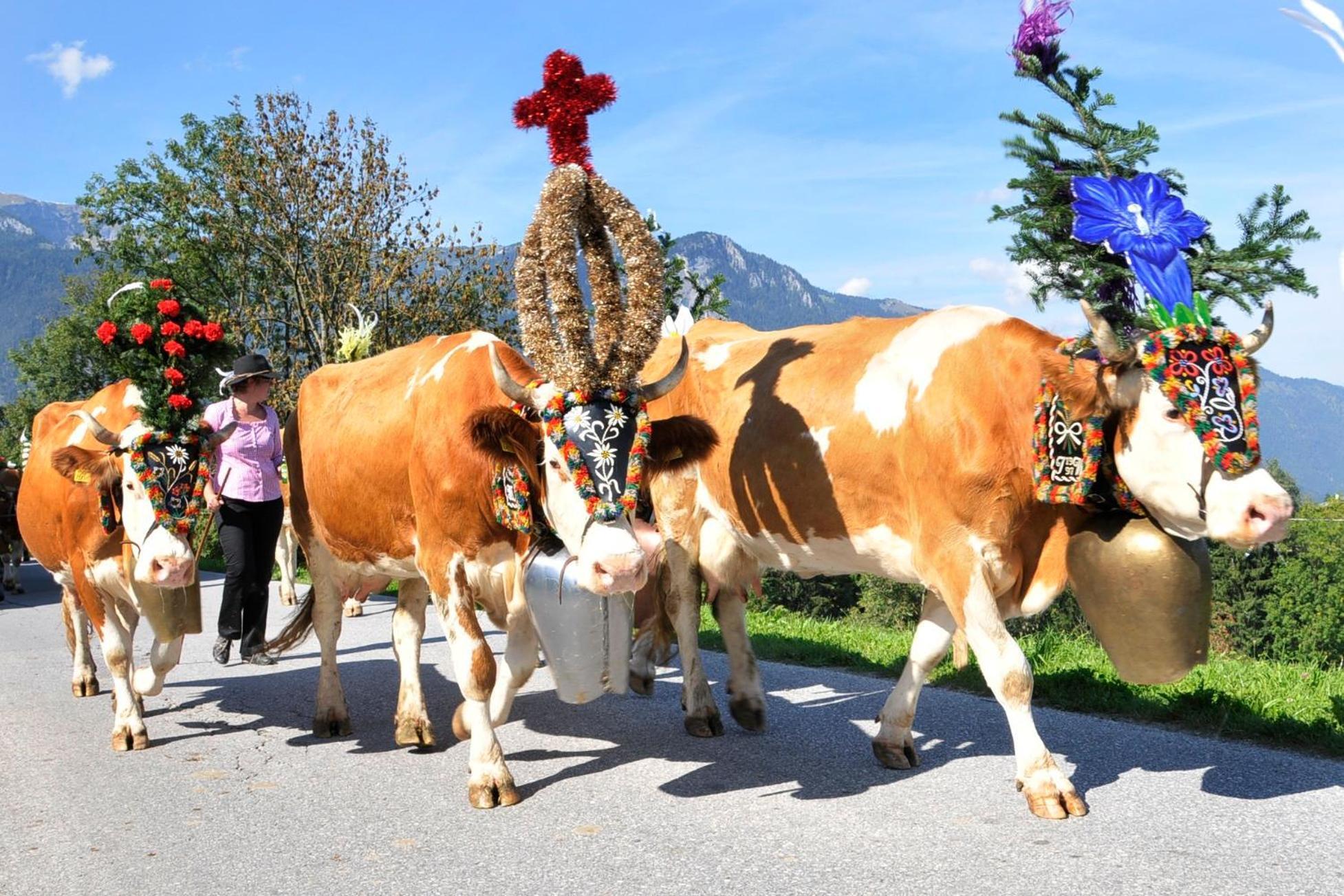 Appartamento Alpbachblick Esterno foto